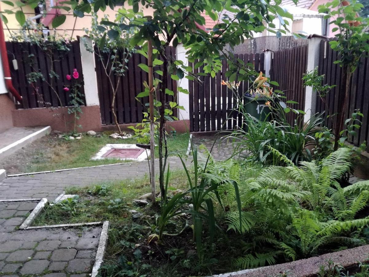 Casa Regal Villa Braşov Eksteriør bilde